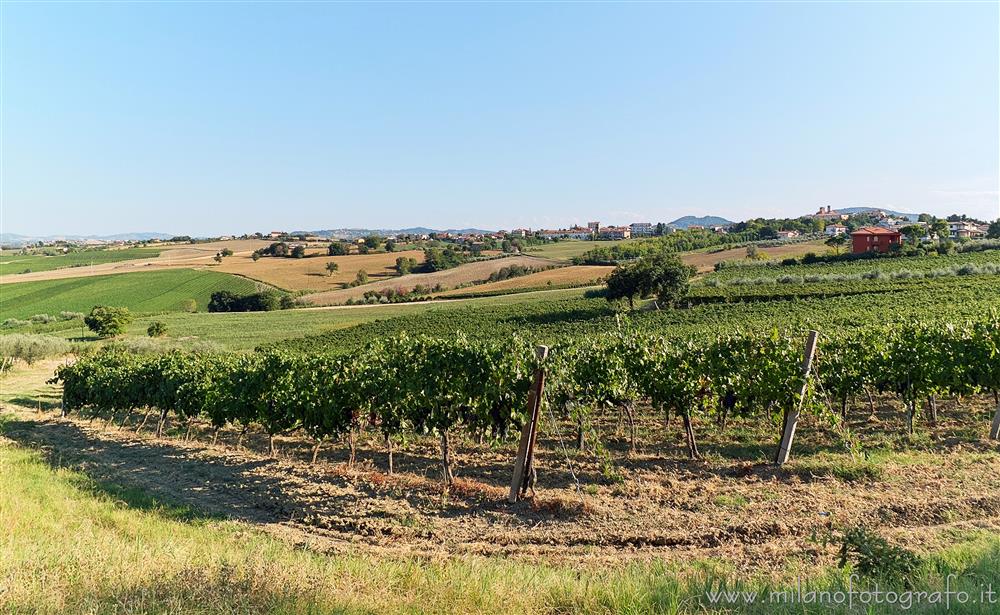 San Clemente (Rimini, Italy) - Summer Romagna countryside